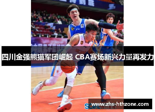 四川金强熊猫军团崛起 CBA赛场新兴力量再发力